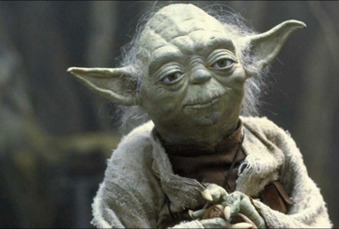 Interview: A Word From the Wise